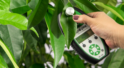 Chlorophyll Meter